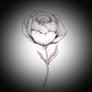 Potsantre-Mc Матюня - фото