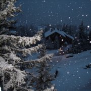 Андрей Семенов - Вот и конец января