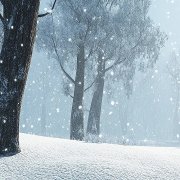 Андрей Семенов - Падающий снег вижу - фото