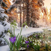 DJ_Igor - Февраль февраль...