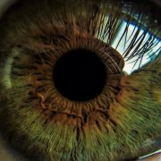 Твои зелёные глаза - фото