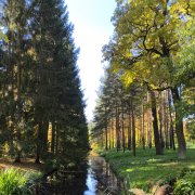 TastyCat - Я не знал