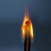 D_Alterego - Капкан