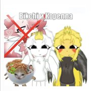 Бикчи и корелла