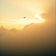 Evil Cheater ft Sidr - Бегом по небу - фото