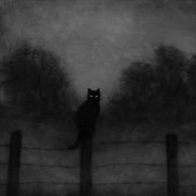 Роман.Vosk- черная кошка