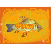 DJ spiker001 - Буль Буль карасик фонк