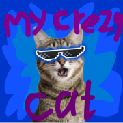 DJ spiker001 - My crazy cat фонк