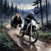 vv - Байкер и медведь