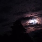 Дискотека Джонка стаил