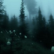 civti- core aesthetics