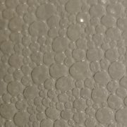 loskutov life stages