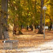 Борис Рыжий, В бледном парке