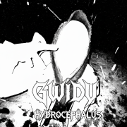 Gwidy-Hydrocephalus