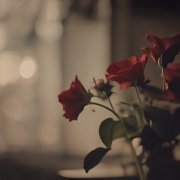 Alex.Сеенко -шутка