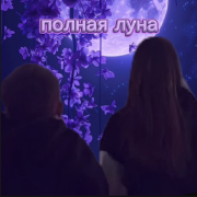 Sister&bro - полная луна