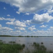 Не напрасно дули ветры