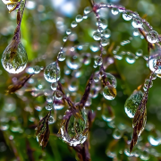 Андрей Киреев Весенняя капель