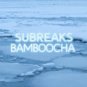 SubreakS - Bamboocha (Original mix)