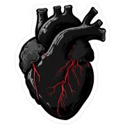 Враги навечно