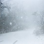 Teddy Bear - Winter Dance