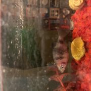 Сергей Петрунин - Лещ