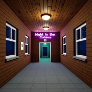 Night in the Corridors