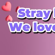 SanyPark –Love for Stray Kids