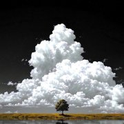 27 - Навсегда