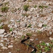 Руслан Муллагулов - Война