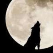 Belka-Полнолуние