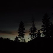 Инна Безруких &  AI - Пресыщение