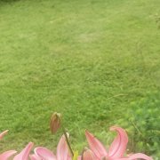 Сергей Боровик -В ритме ночи.