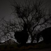 Kill Sharp - мало тебя