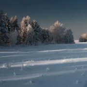 Aleks Borisov стихи автора Танец снежинок