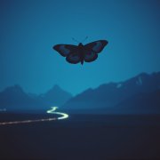 MaslinaStyle - Степной Мотылёк