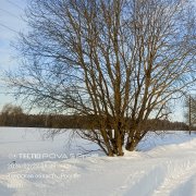 Боровик Сергей -Мгновение.