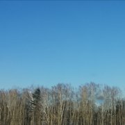 Diler - Стоит ли гадать