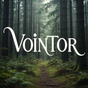VOInTOR - Я  - VOInTOR
