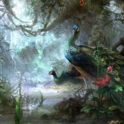 Arko - Флора-Фауна