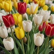 Сергей К - Поздравляю с 8 Марта