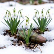 КПМ - С фронта