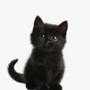 Великоросс - Обдурили дурака