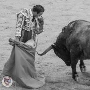 Токсичные Матери - Последняя коррида