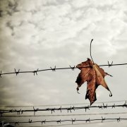 THEpatriot34 - осень