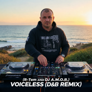 R-Tem and DJ A.M.O.R. - Voiceless ( D&B remix)