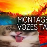 DJ DANFISH - MONTAGEM VOZES TACA BUS