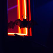 Vlad Bodmer - Укус Вампира