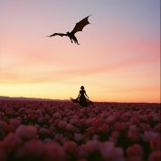 Vlad Bodmer - Я обращусь в дракона (Folk version)