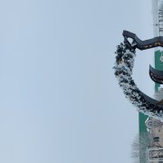  Золотые пески. v1